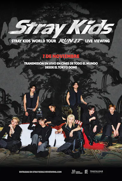 Póster de Stray Kids World Tour Run it