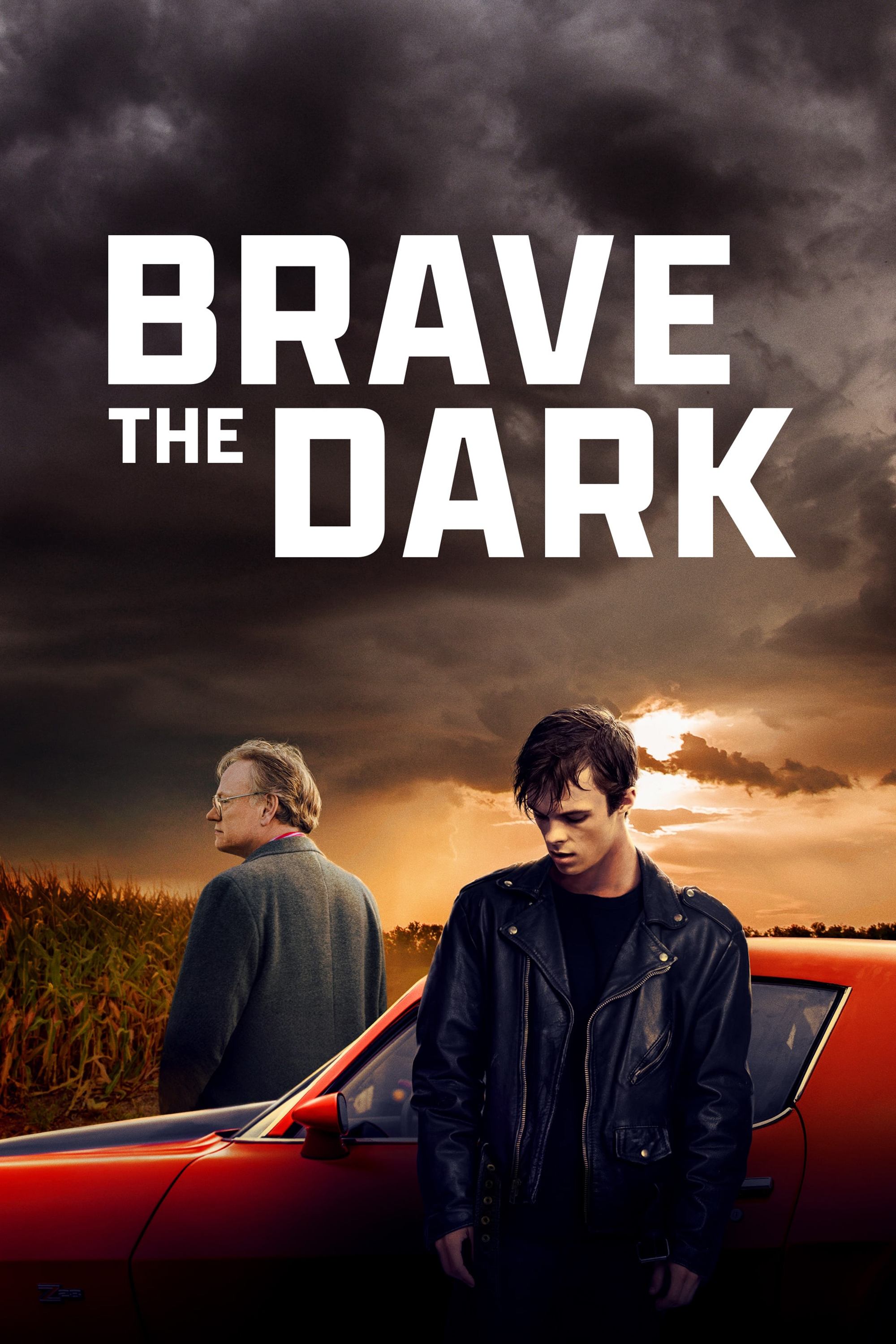 Poster for Brave the Dark