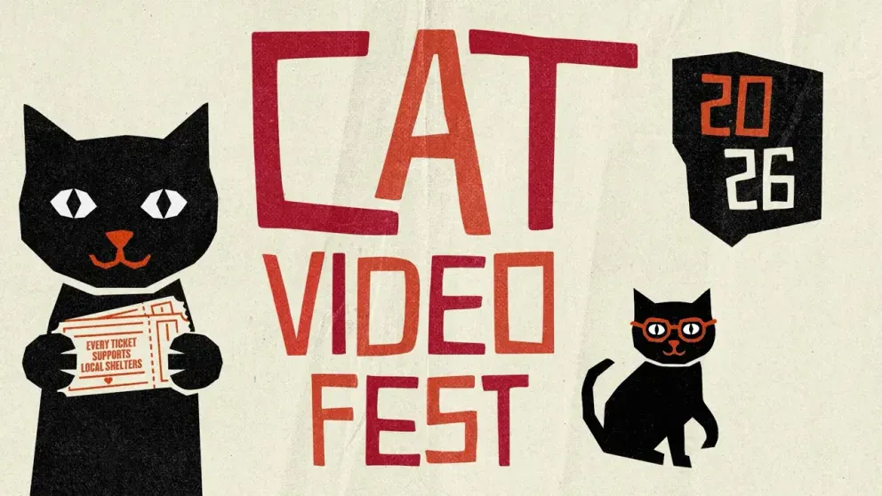 cat video fest