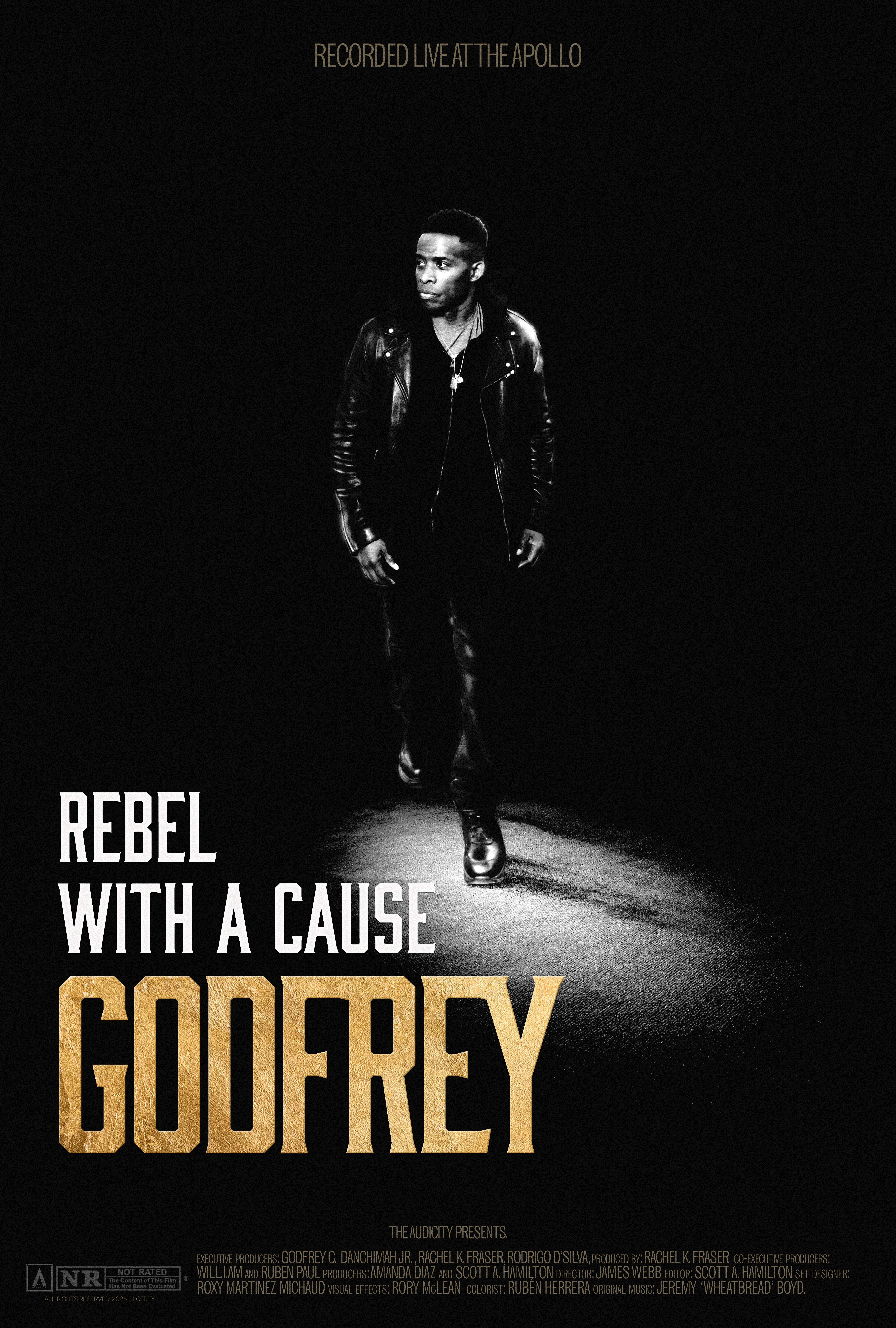 Poster for GODFREY: REBEL WITH A CAUSE