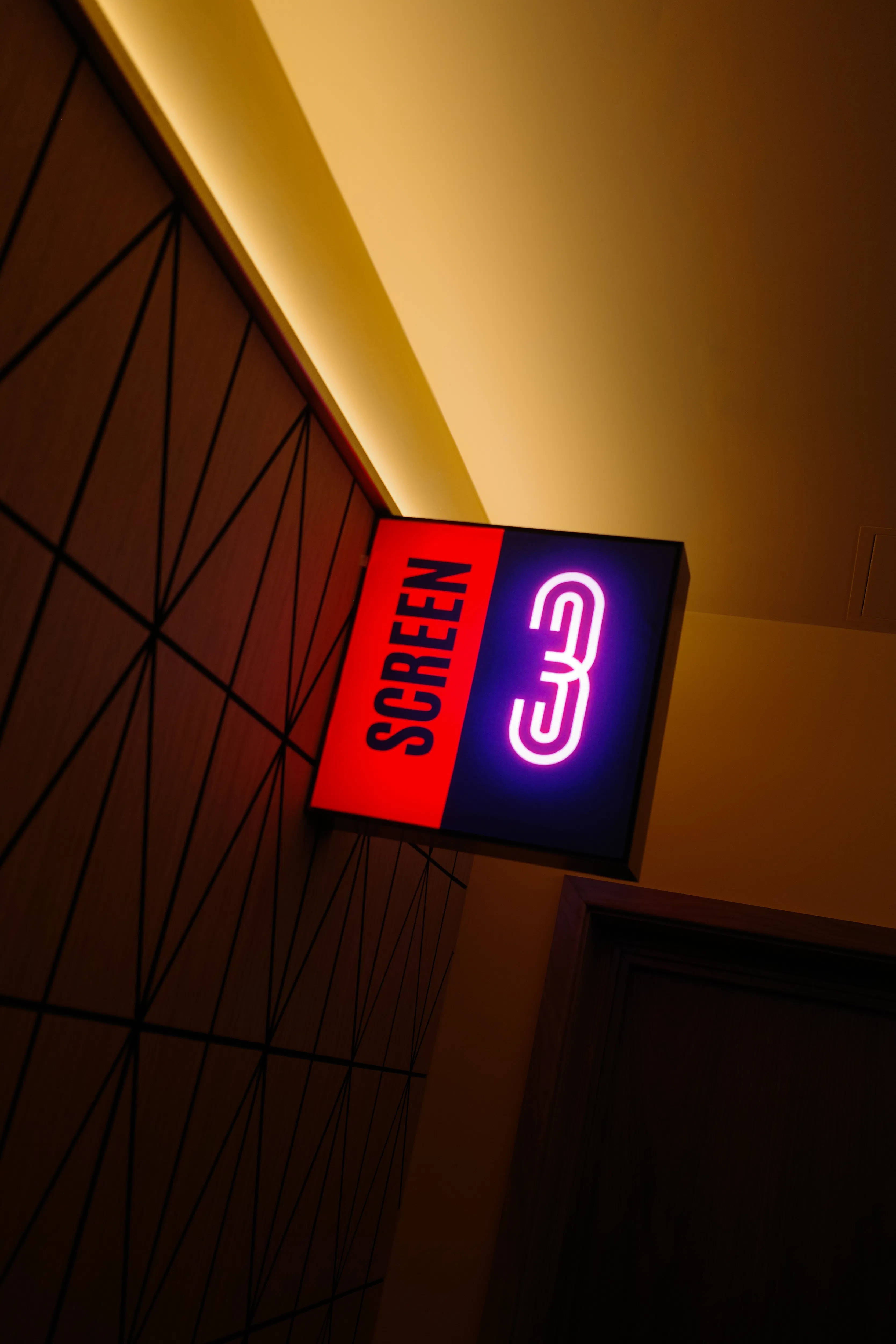 Cinema audience