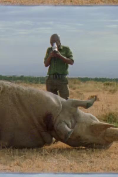 Poster for Super Nature