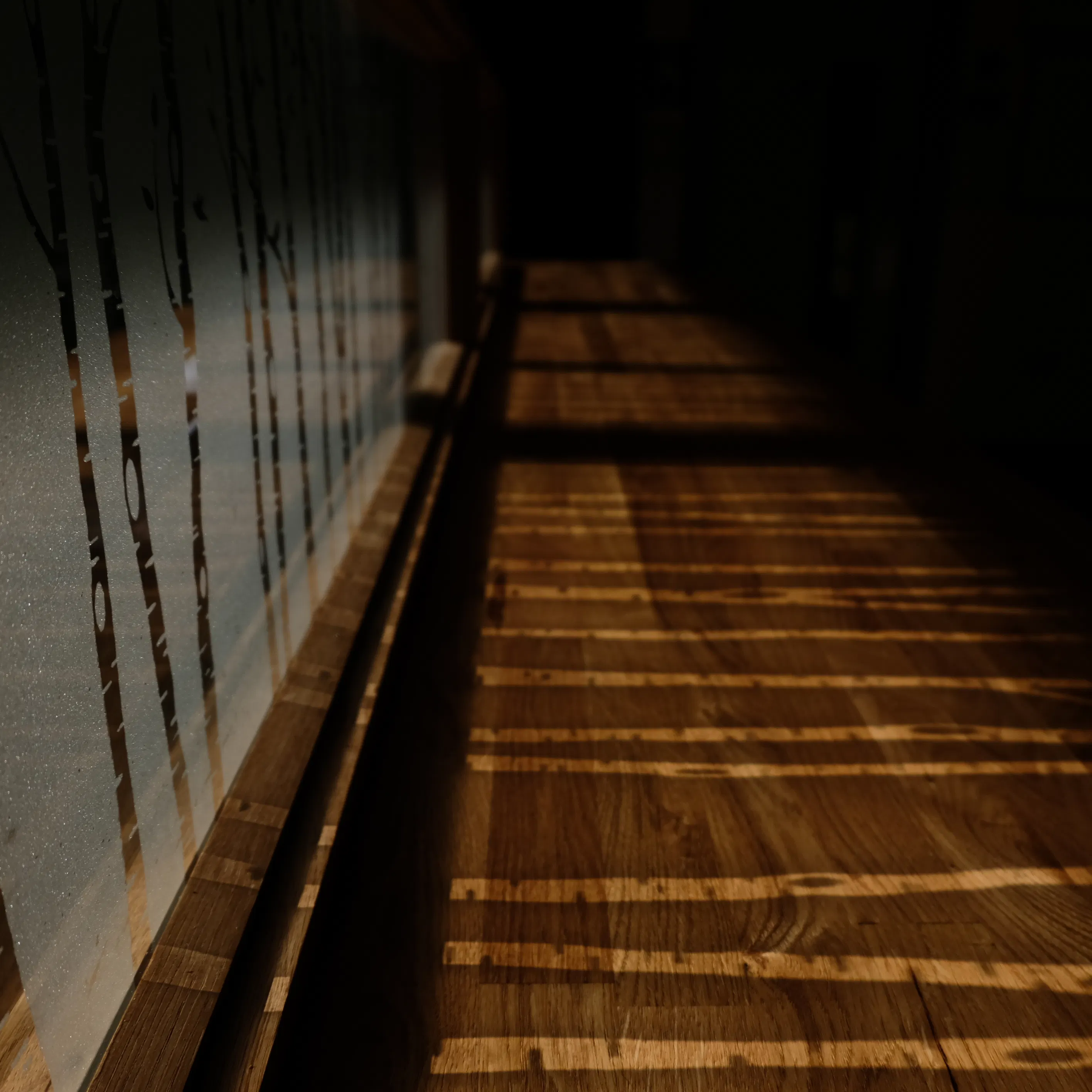 Team member portrait