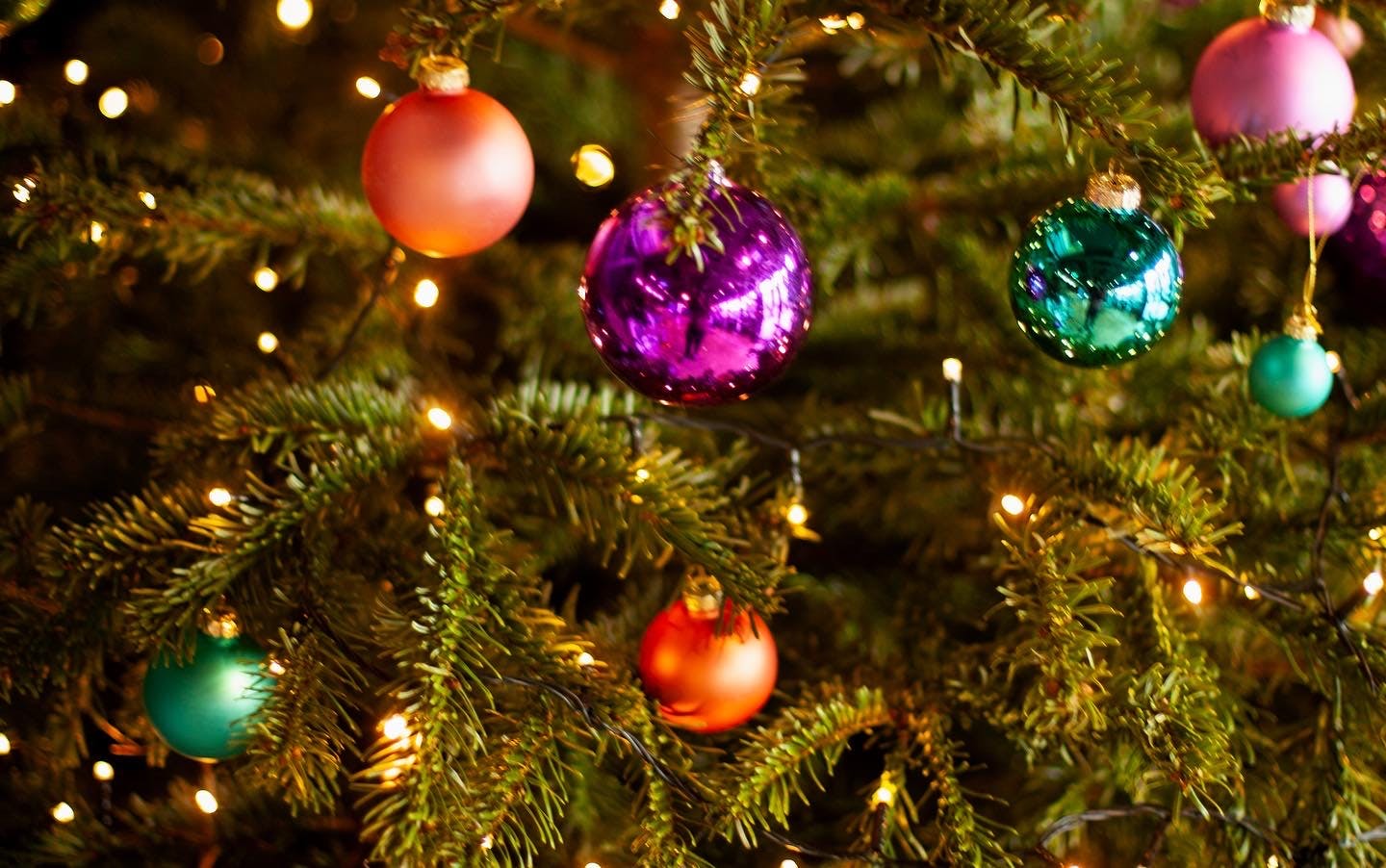 Projector light and screen