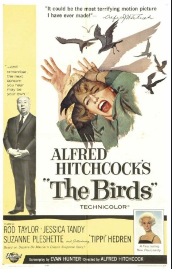 Alfred Hitchcock: The Unseen Home Movies