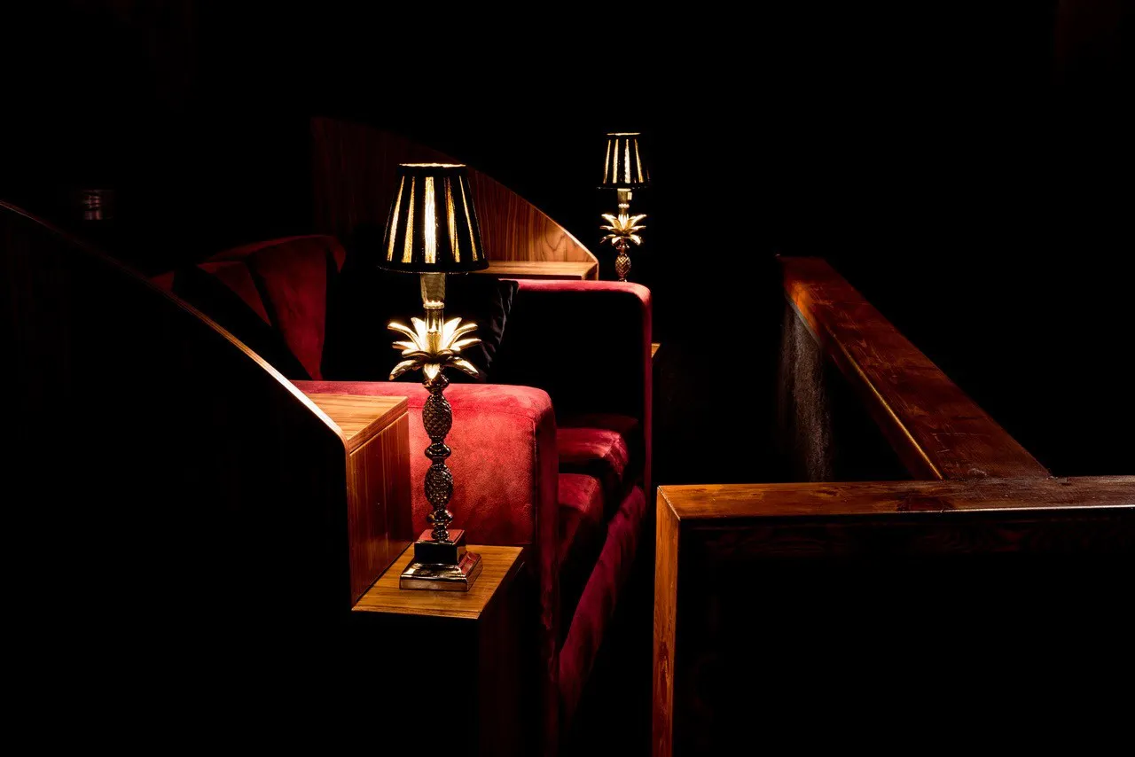 Cinema audience