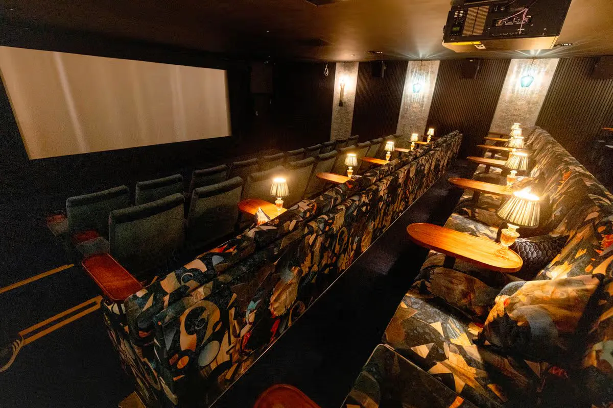 Cinema audience
