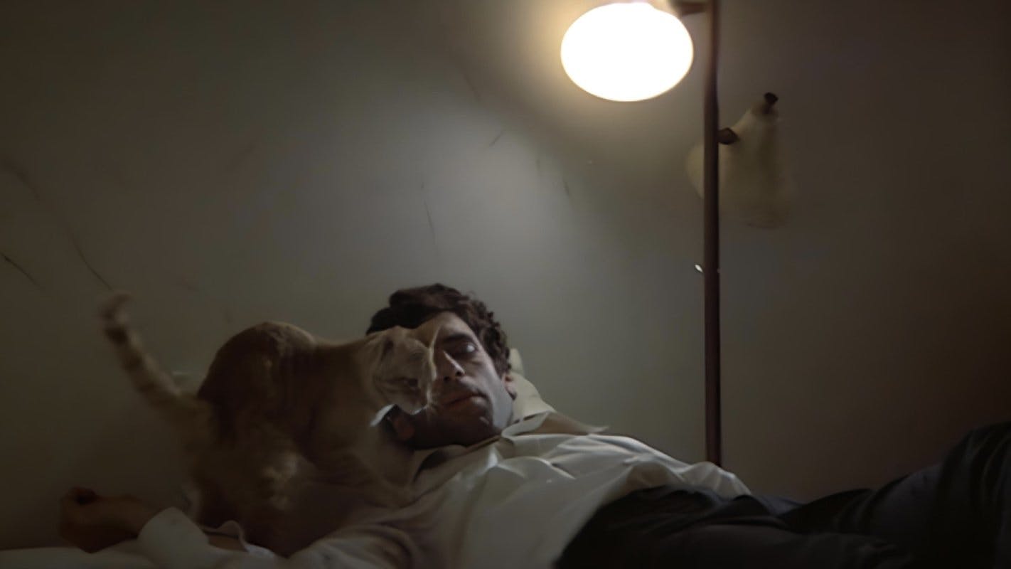 Elliott Gould in The Long Goodbye