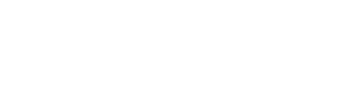 TEMPLATE STANDARD