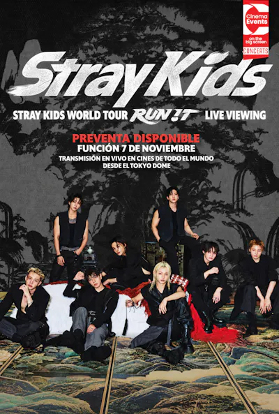 Stray Kids World Tour Run it
