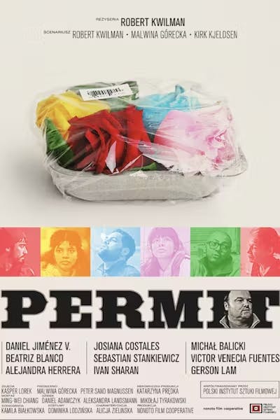 Poster for Permit
