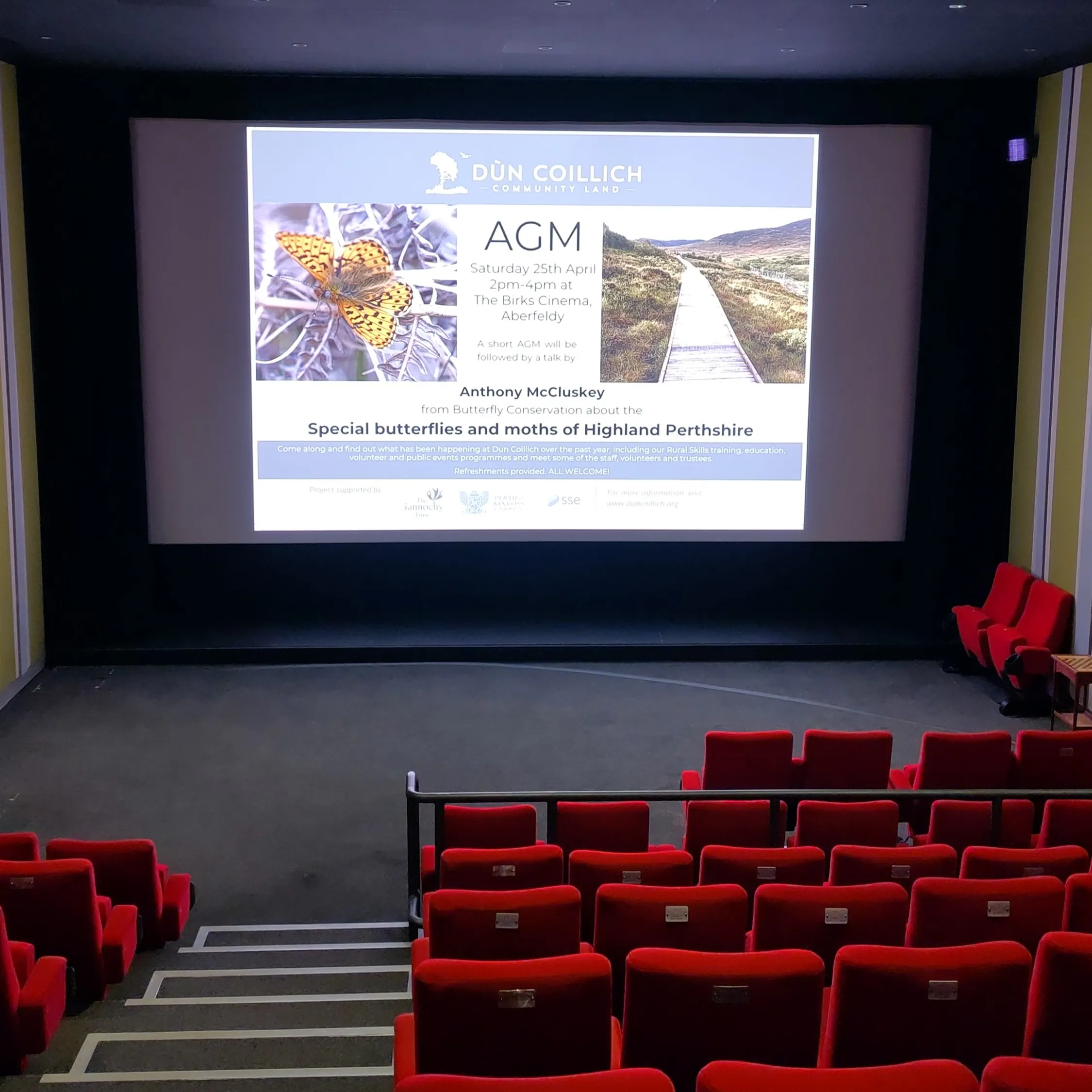 Inside The Birks Cinema